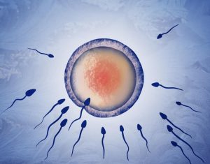 IVF Egg Freezing in Indore