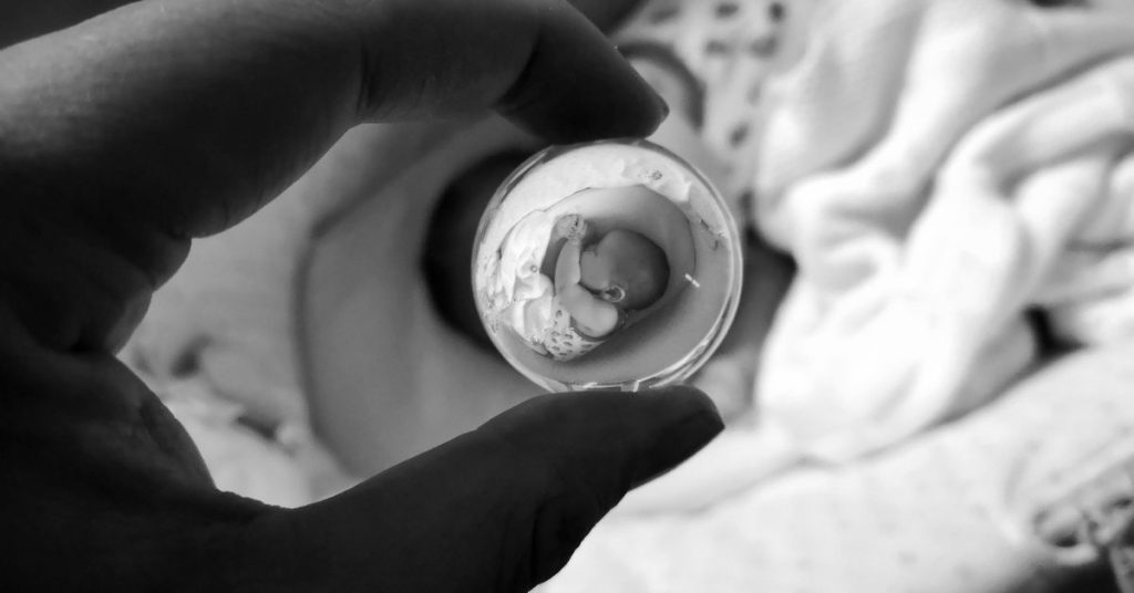Understanding Egg Retrieval and Embryo Transfer in IVF