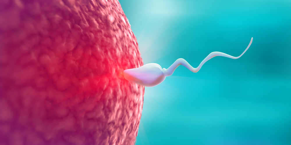 Gada IVF & Women HD Care | Best Infertility Clinic in Indore